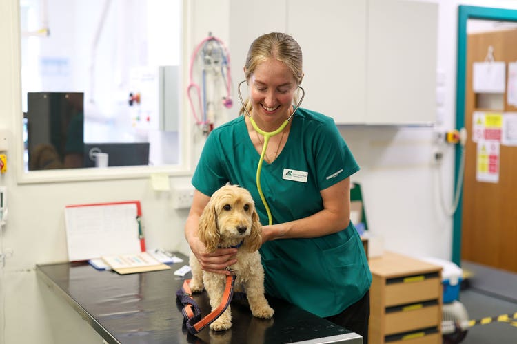 nurse and dog